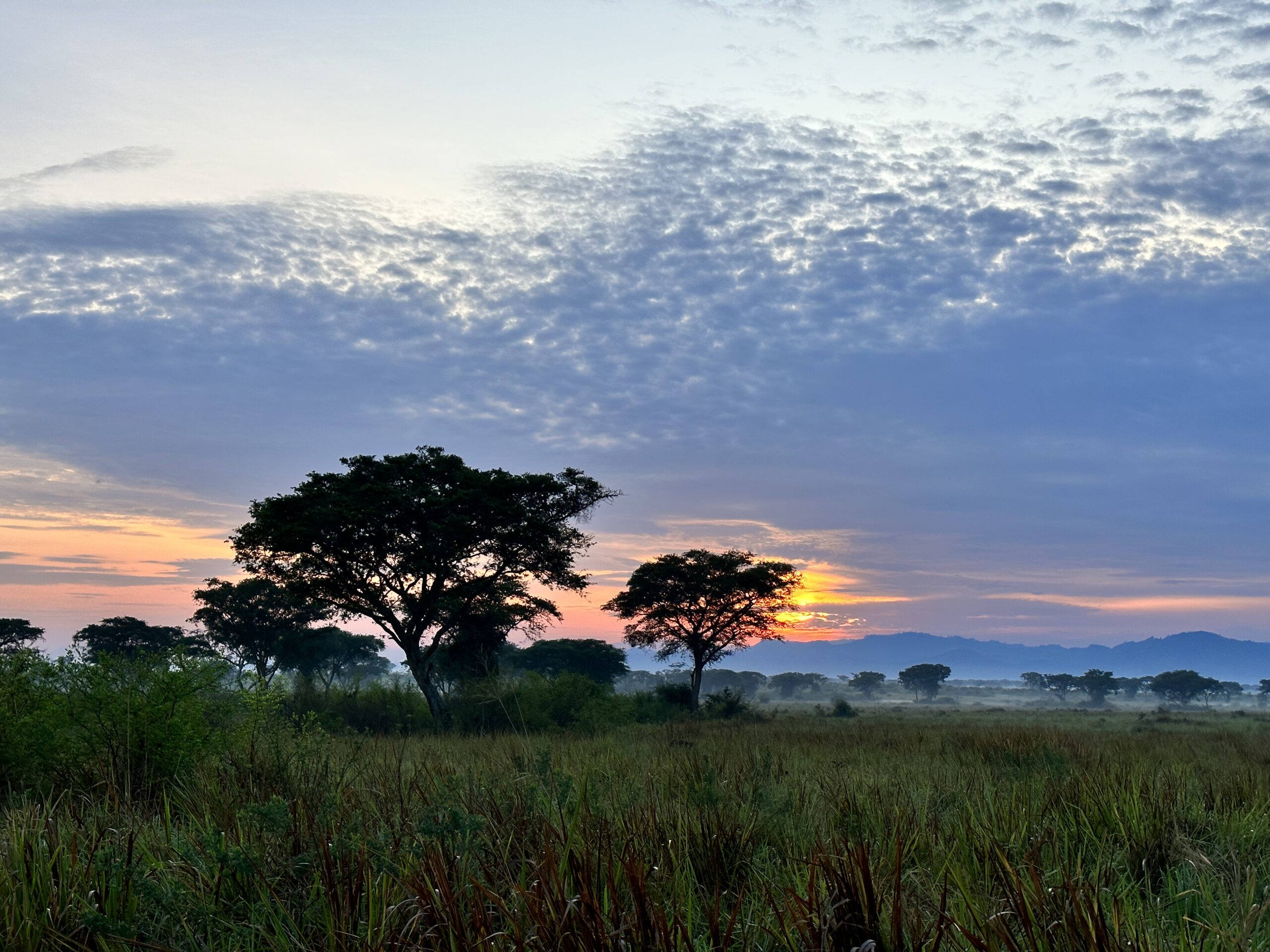May 9-18 2026 Sacred Travel to Uganda – The Evolution of Consciousness – $228 each for post-tour 2 extra nights in Kigali – Joan and Risa