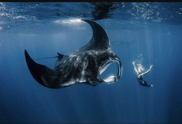 March 19-30 2025 Relax in Bali with Rev Stephen Rambo - Great Manta Excursion