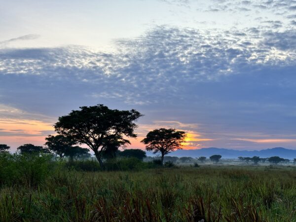 May 1-10 2025 Sacred Travel to Uganda - The Evolution of Consciousness - Final Balance